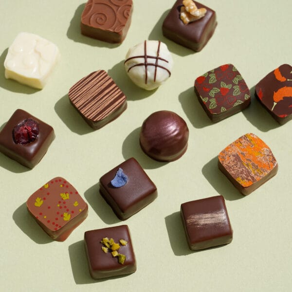 Verschiedene Sorten Pralinen von Pott au Chocolat, bunt dekoriert auf grünem Hintergrund.