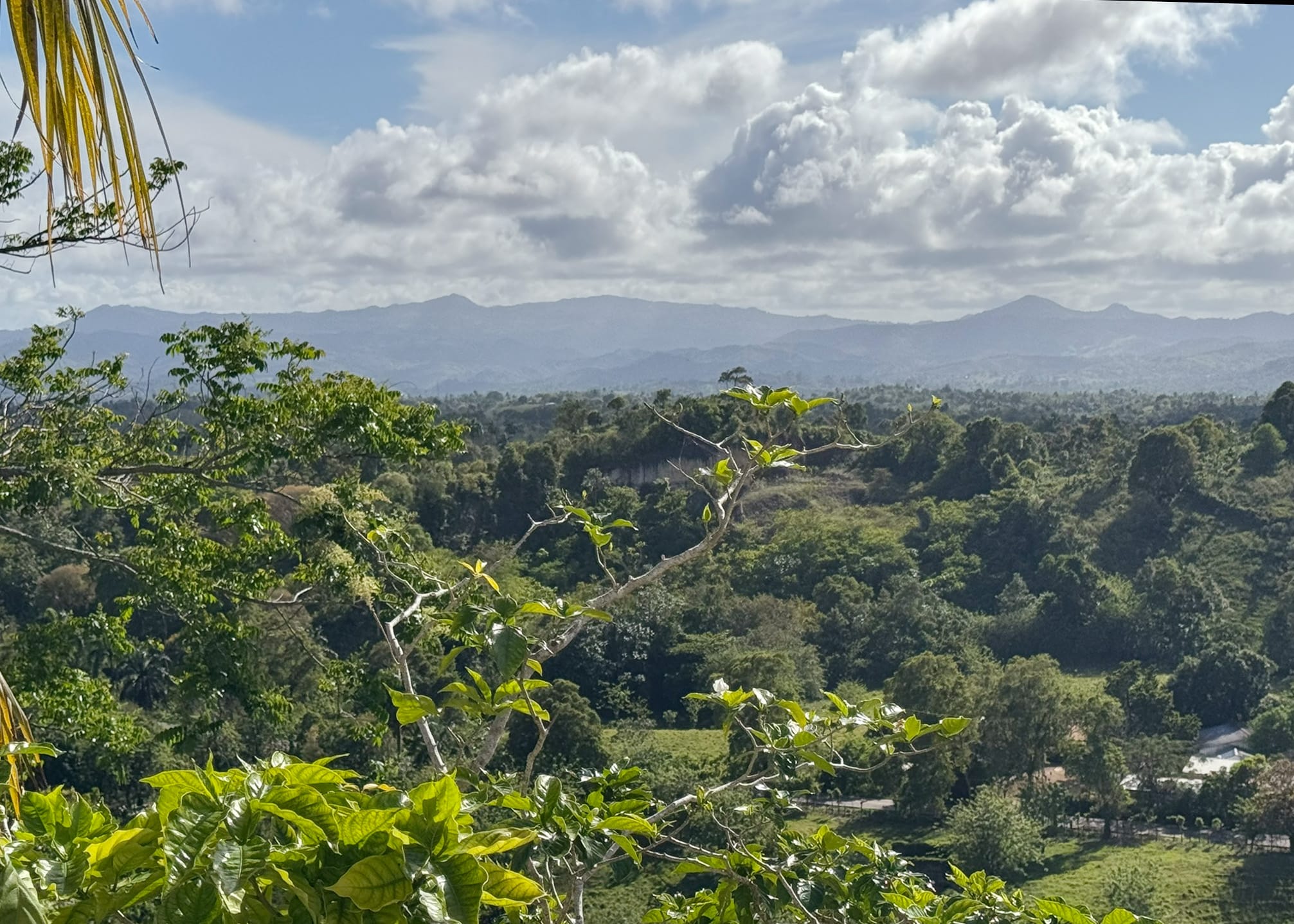 Ein weiter Blick mit grüner Landschaft, im Hintergrund Berge in der Dominikanischen Republik.