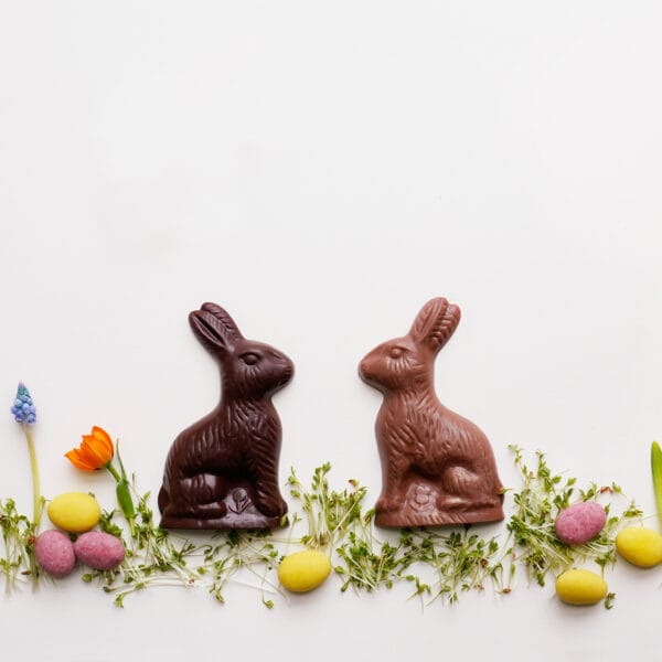 Osterhasen-Tafeln in Form von Hasen, eine aus Milchschokolade, eine aus dunkler Schokolade. Umgeben von Kresse, die eine Wiese darstellen soll, auf der die Hasen stehen. Dazu bunte Schokoladeneier und einige bunte Blumen als Dekoration