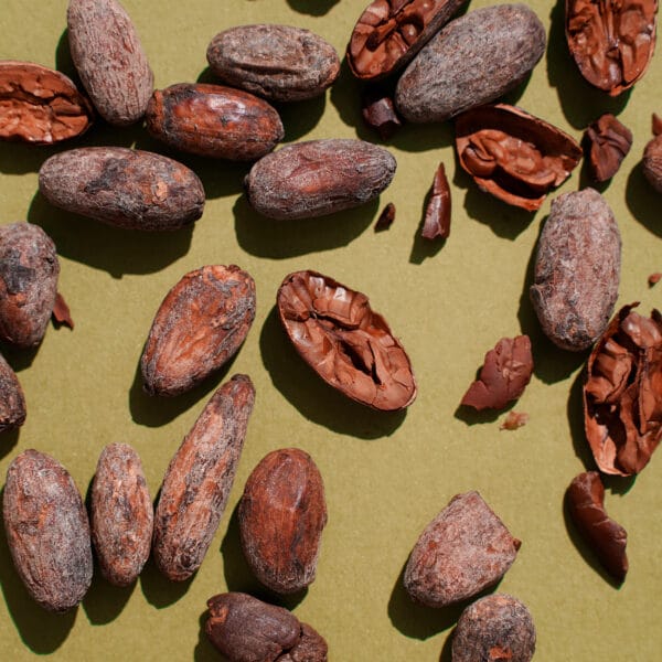 Geröstete Kakaobohnen aus Kolumbien mit Schale auf olivgrünem Untergrund. Einige der Kakaosamen sind aufgebrochen.
